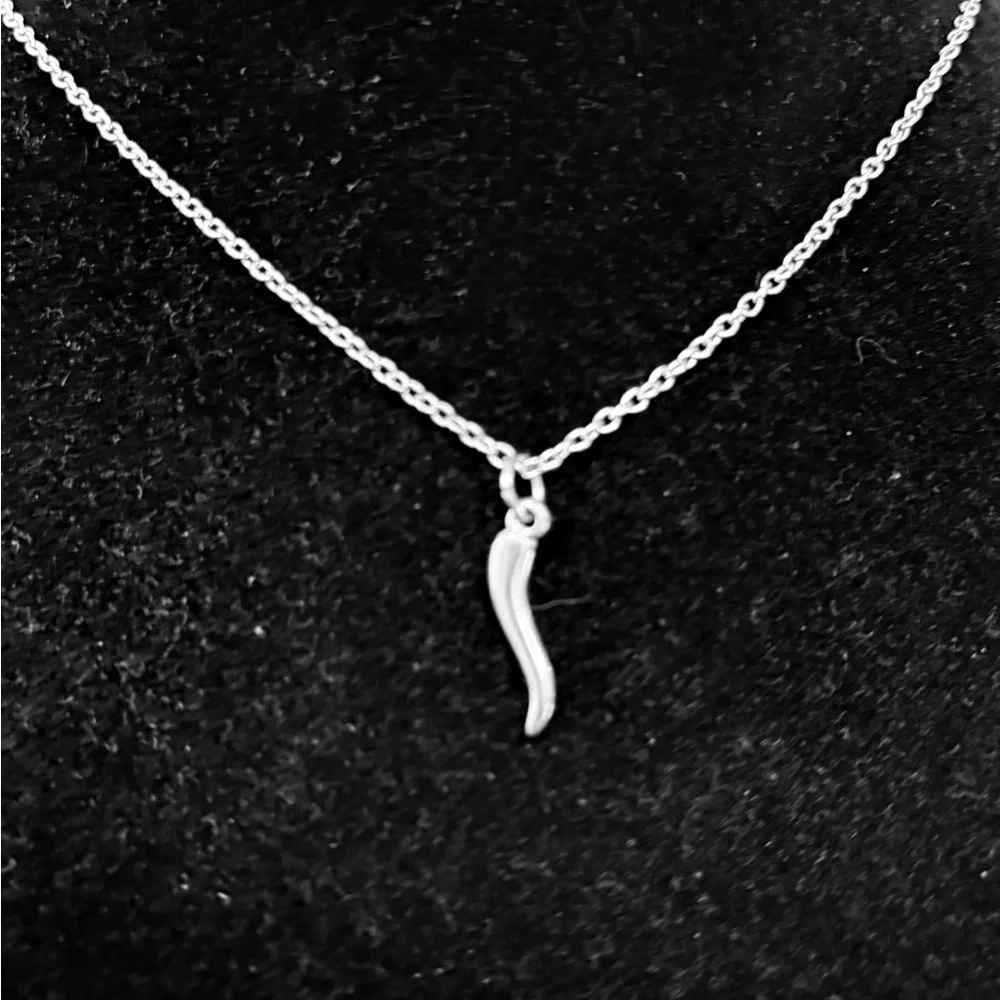 Youth/Child Italian Horn stainless steel necklace